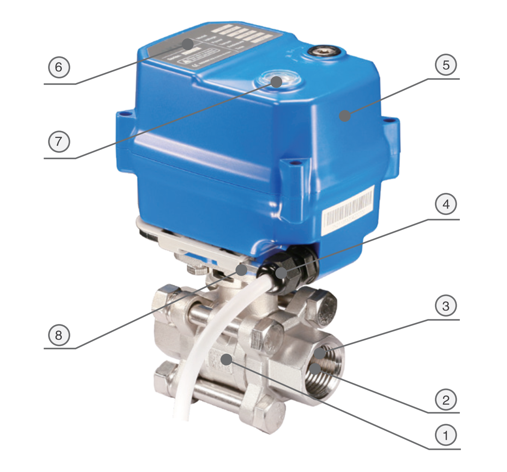 ~!phoenix_varIMG50!~